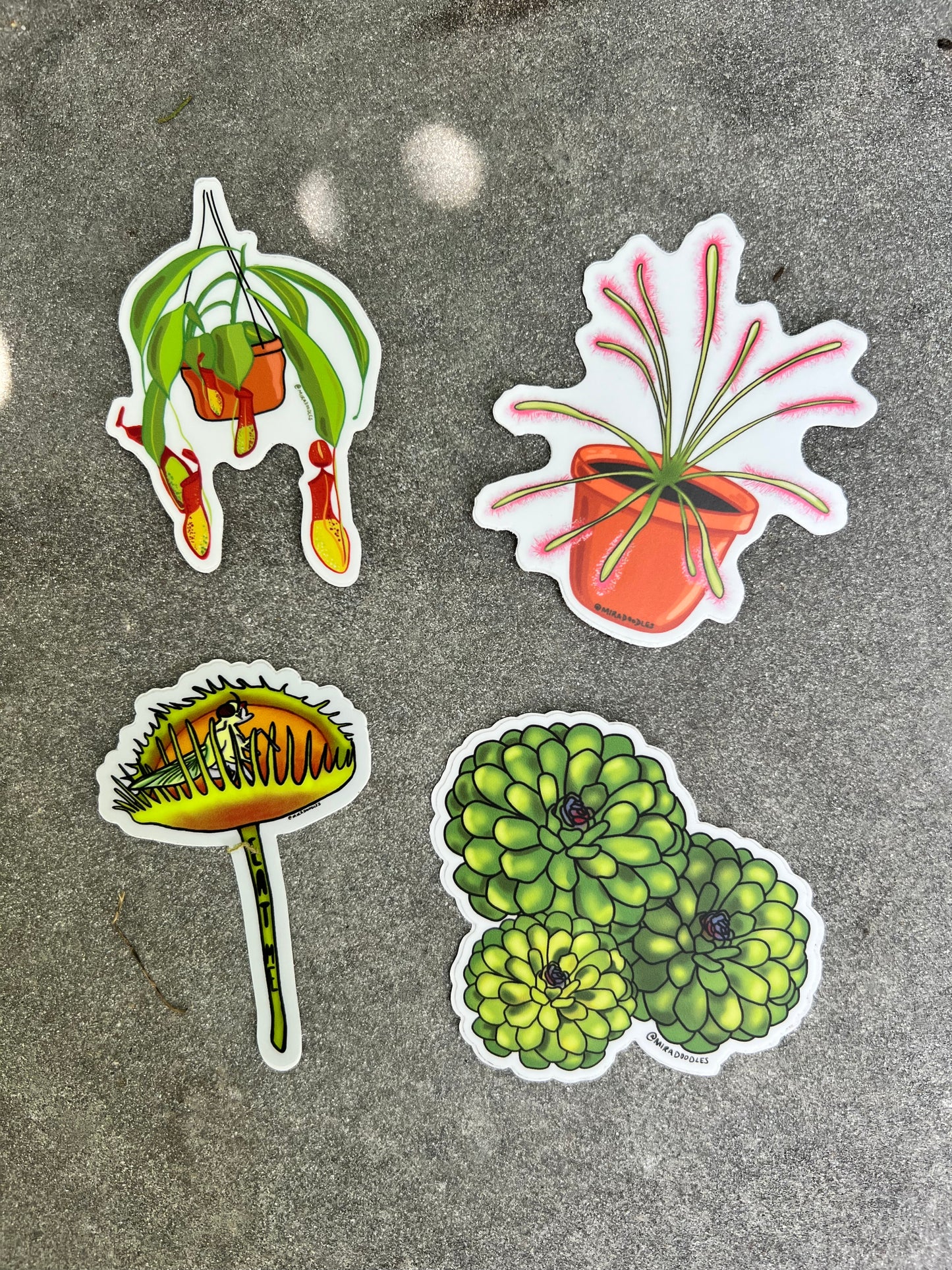 Carnivorous Plant Sticker Pack - 4 Stickers