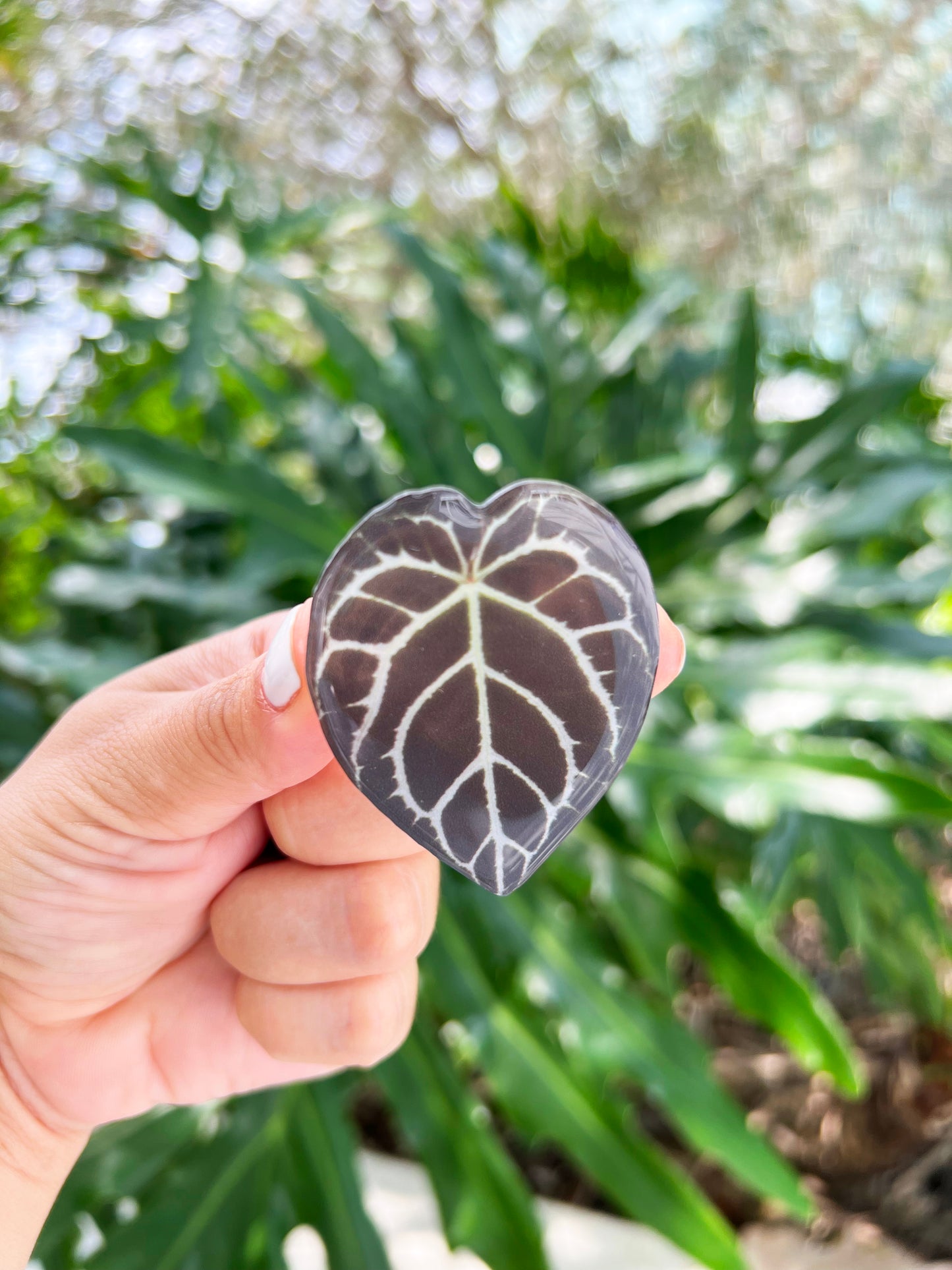 Crystallinum Anthurium Leaf Phone Grip