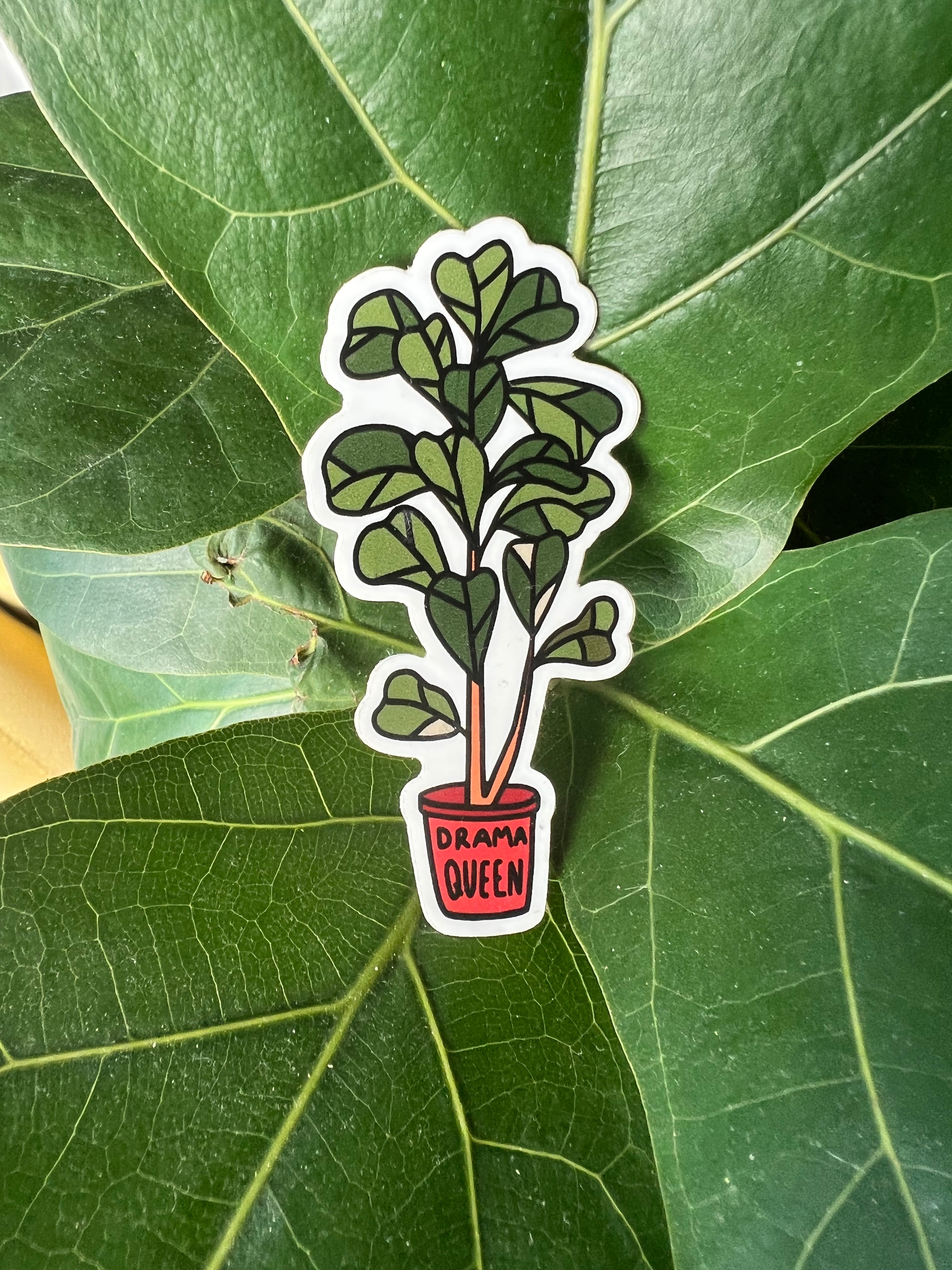 Fiddle Leaf Fig Ficus Sticker – Clumsy Daisy Shop