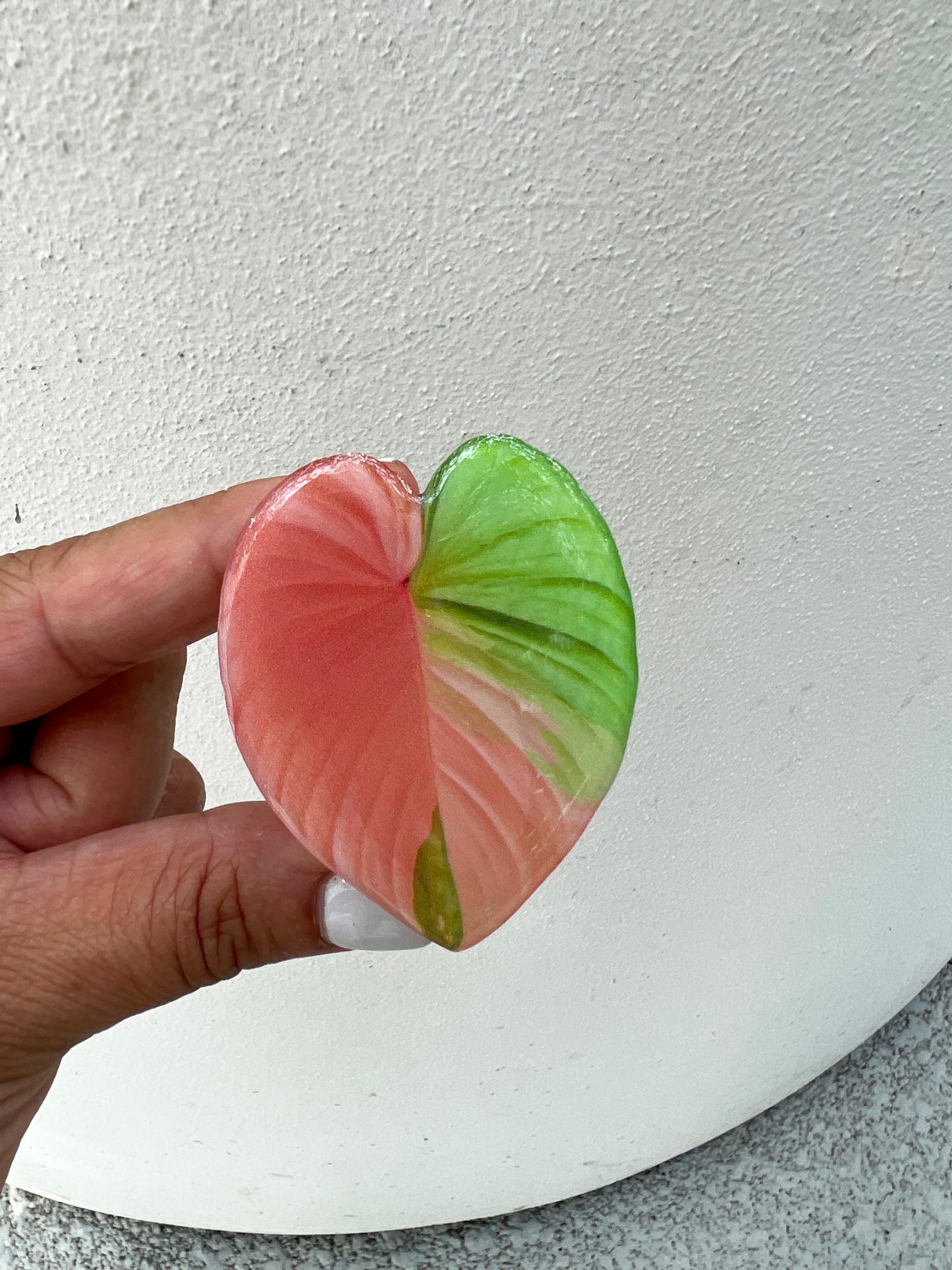 Variegated Homalomena Pink Leaf Phone Grip