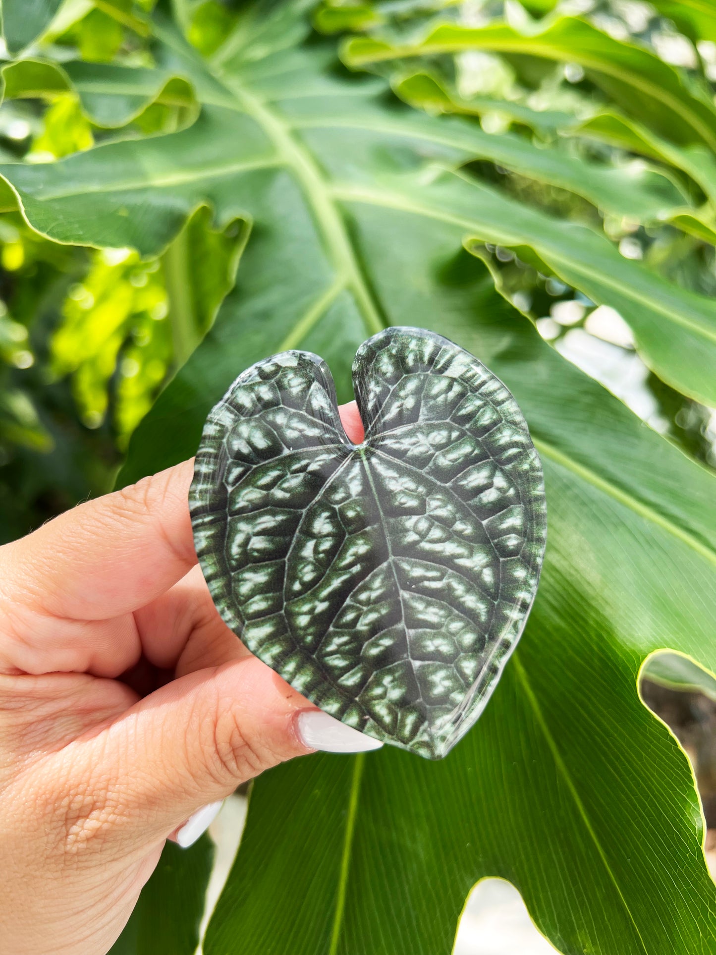 Luxurians Anthurium Leaf Phone Grip