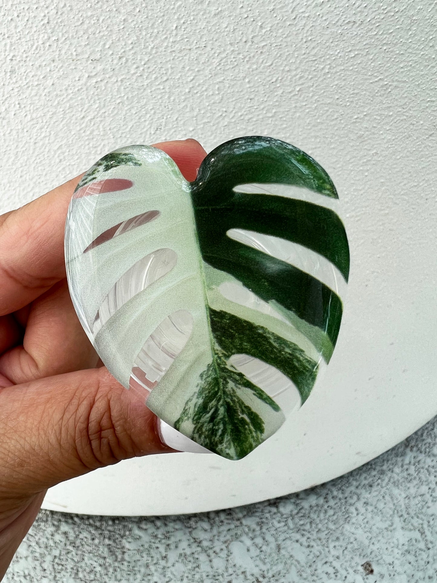 Monstera Albo Leaf Phone Grip