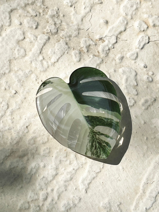 Monstera Albo Leaf Phone Grip