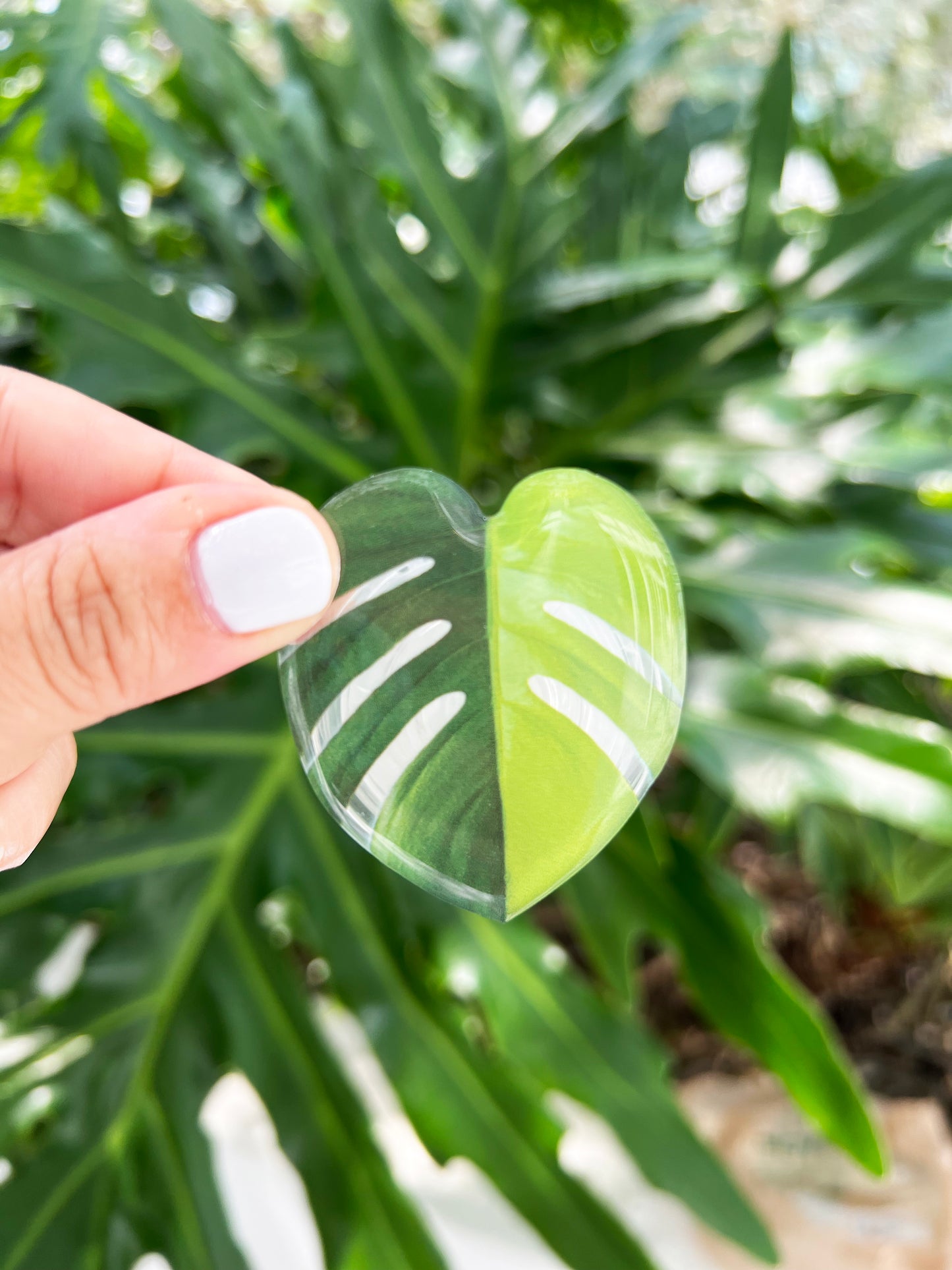 Monstera Aurea Leaf Phone Grip