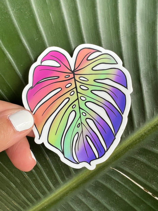 Pride Monstera Leaf Sticker