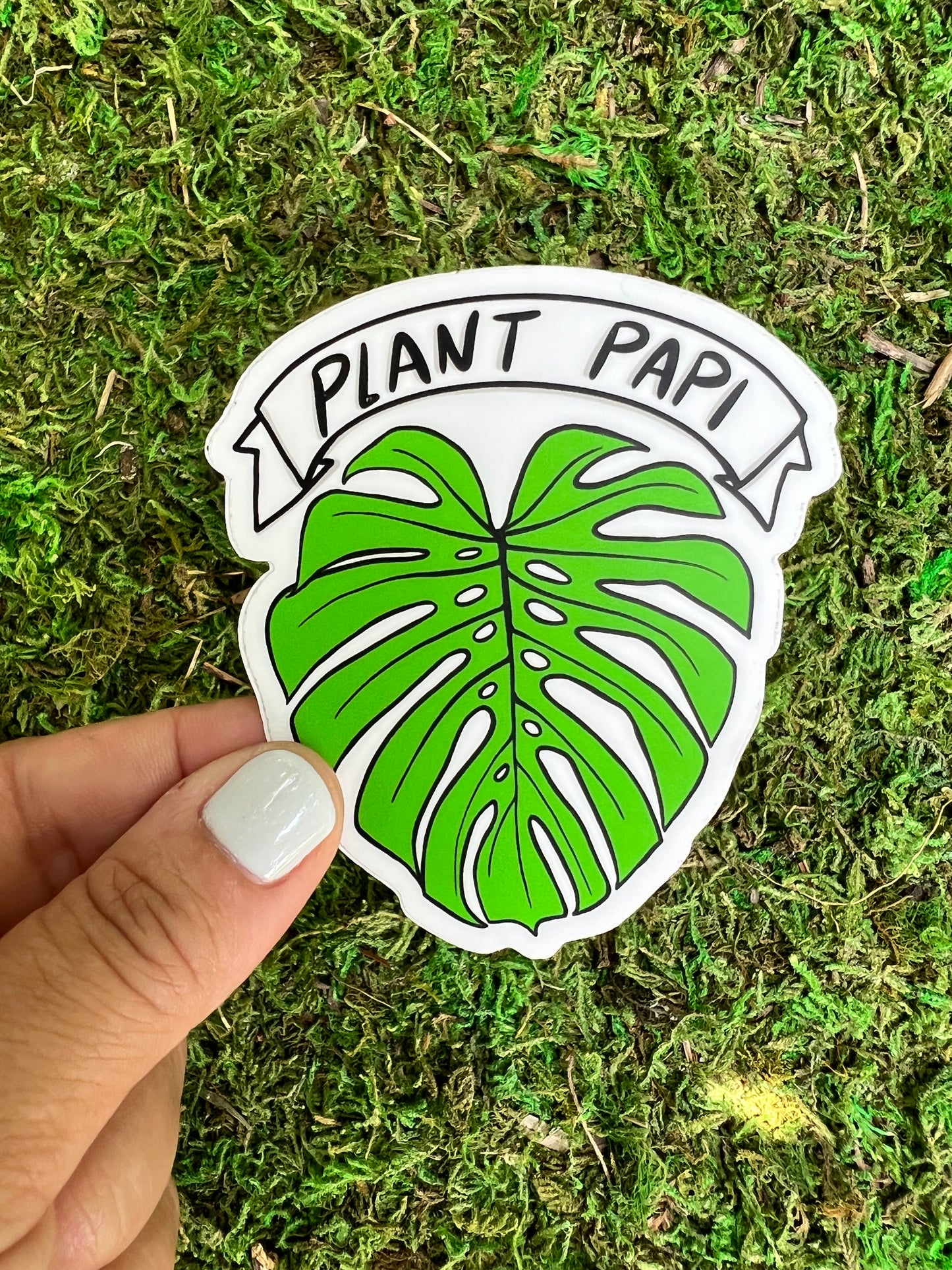 Plant Papi Dad Monstera Sticker