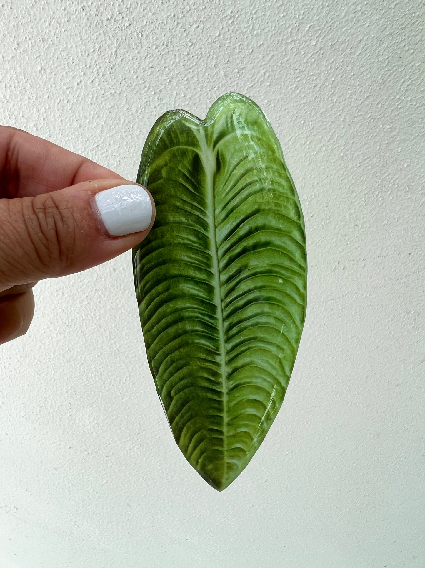 Veitchii Anthurium Leaf Phone Grip