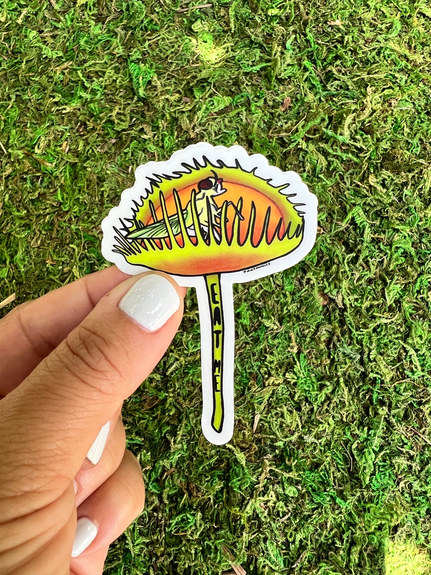 Venus Fly Trap Carnivorous Plant Sticker