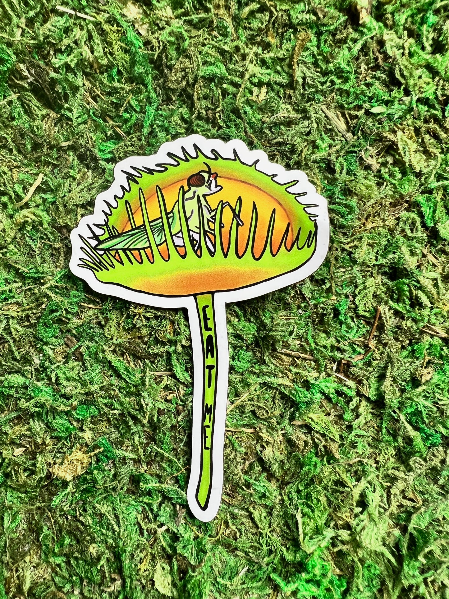 Venus Fly Trap Magnet